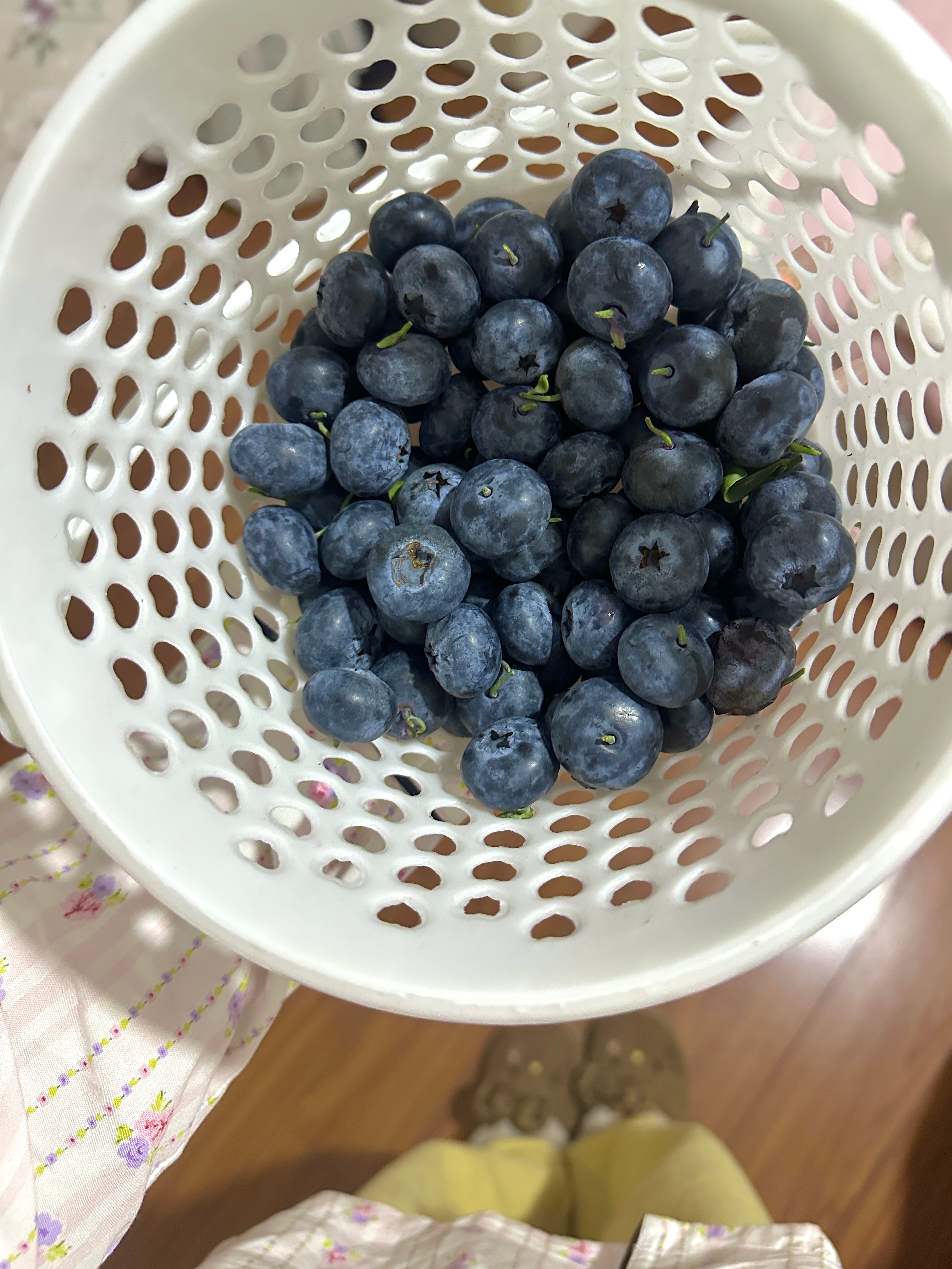 我是蓝莓大王🫐 