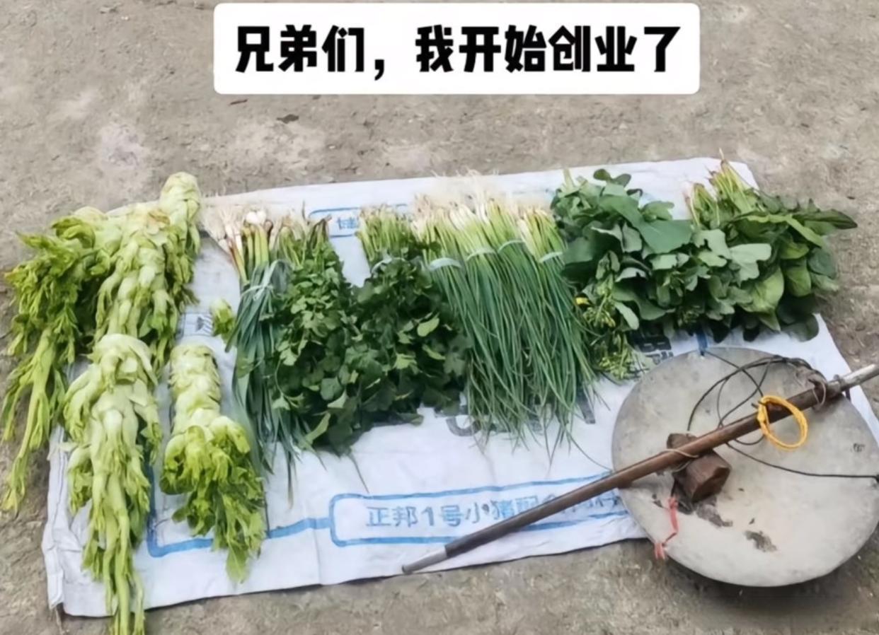 年轻人第一次摆摊卖蔬菜，有什么建议么？  