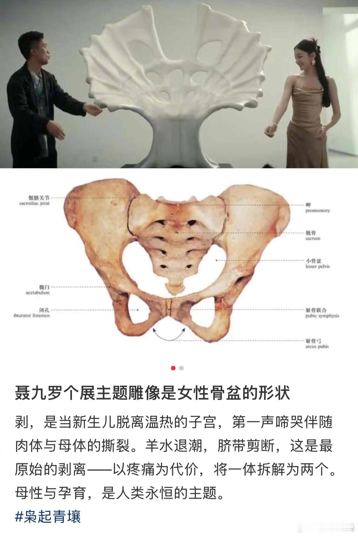 枭起青壤这个解读好绝，大结局聂九罗个展主题雕像是女性骨盆的形状 