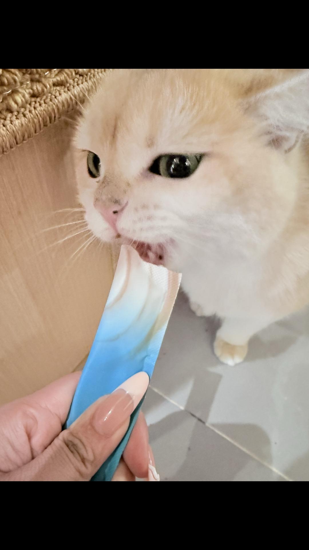 幸福的秘诀是什么呢