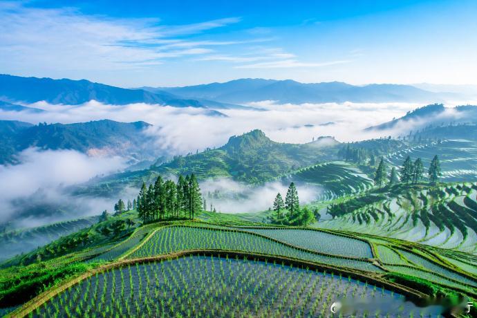 【红河元阳：梯田是大地写给天空的情书】如果没有来过元阳，很多人不会相信，一层层梯