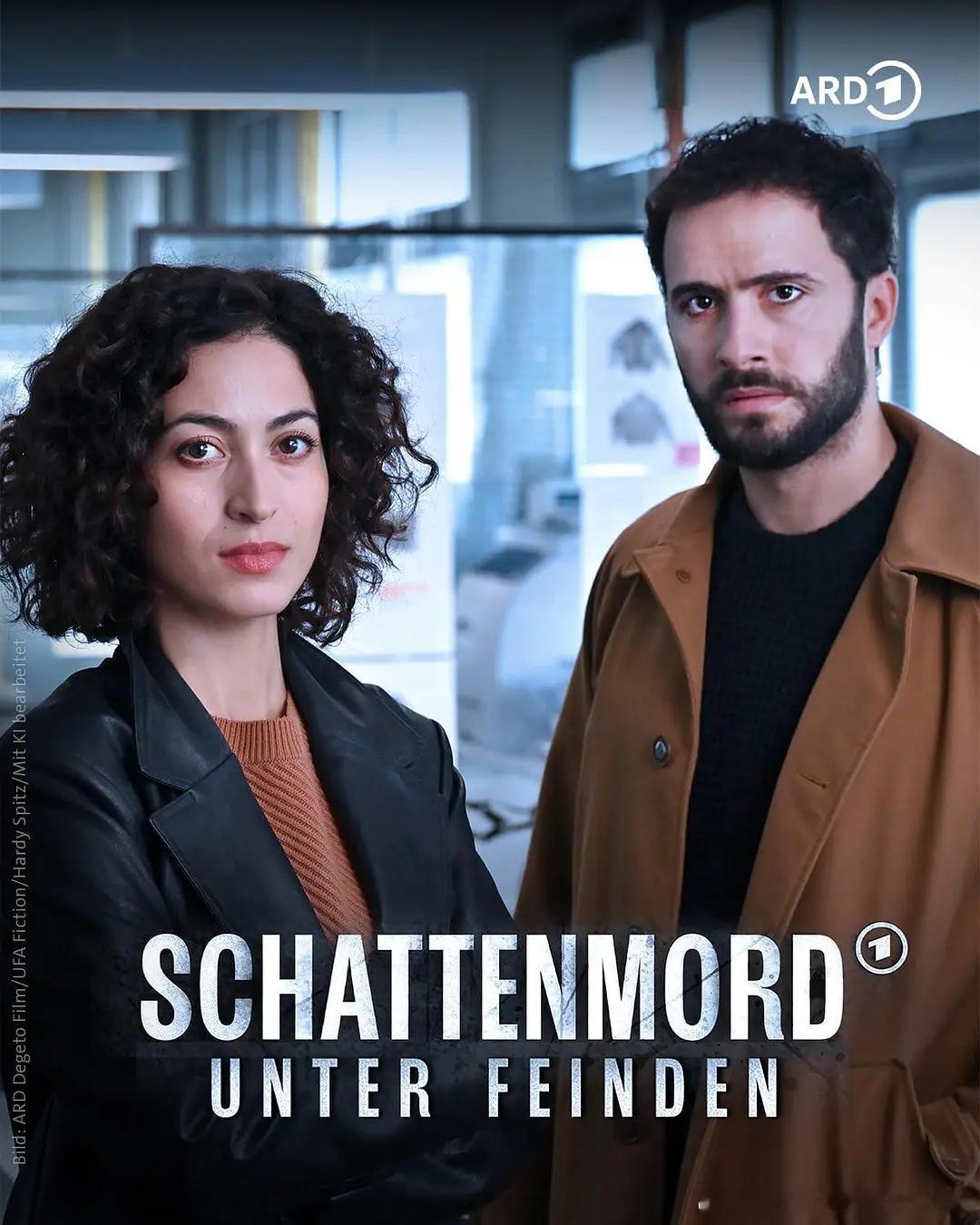 《阴影谋杀：恐惧之下》 Schattenmord: Unter Feinden 