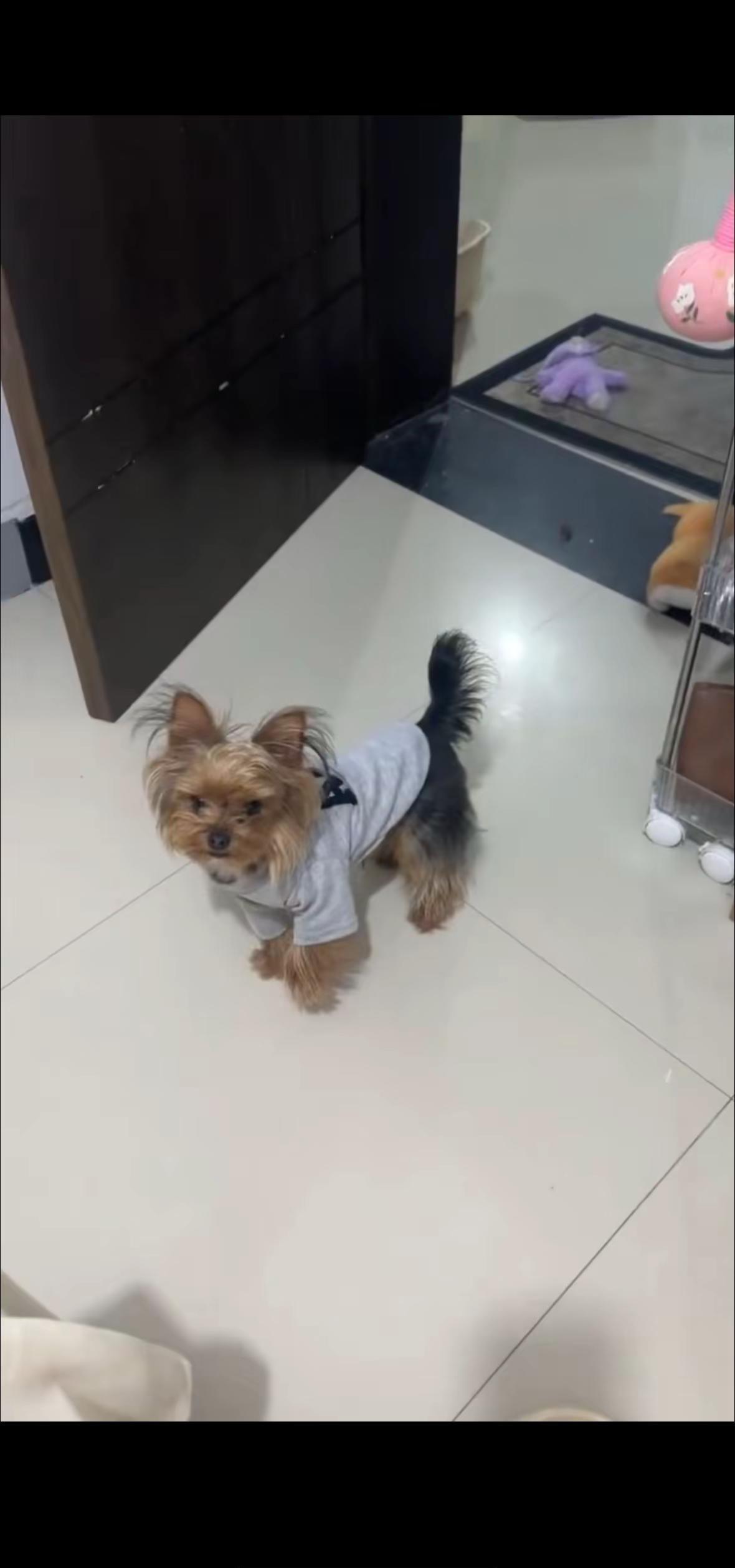 走丢的时候穿的就是这件衣服郑州北三环 奥克路