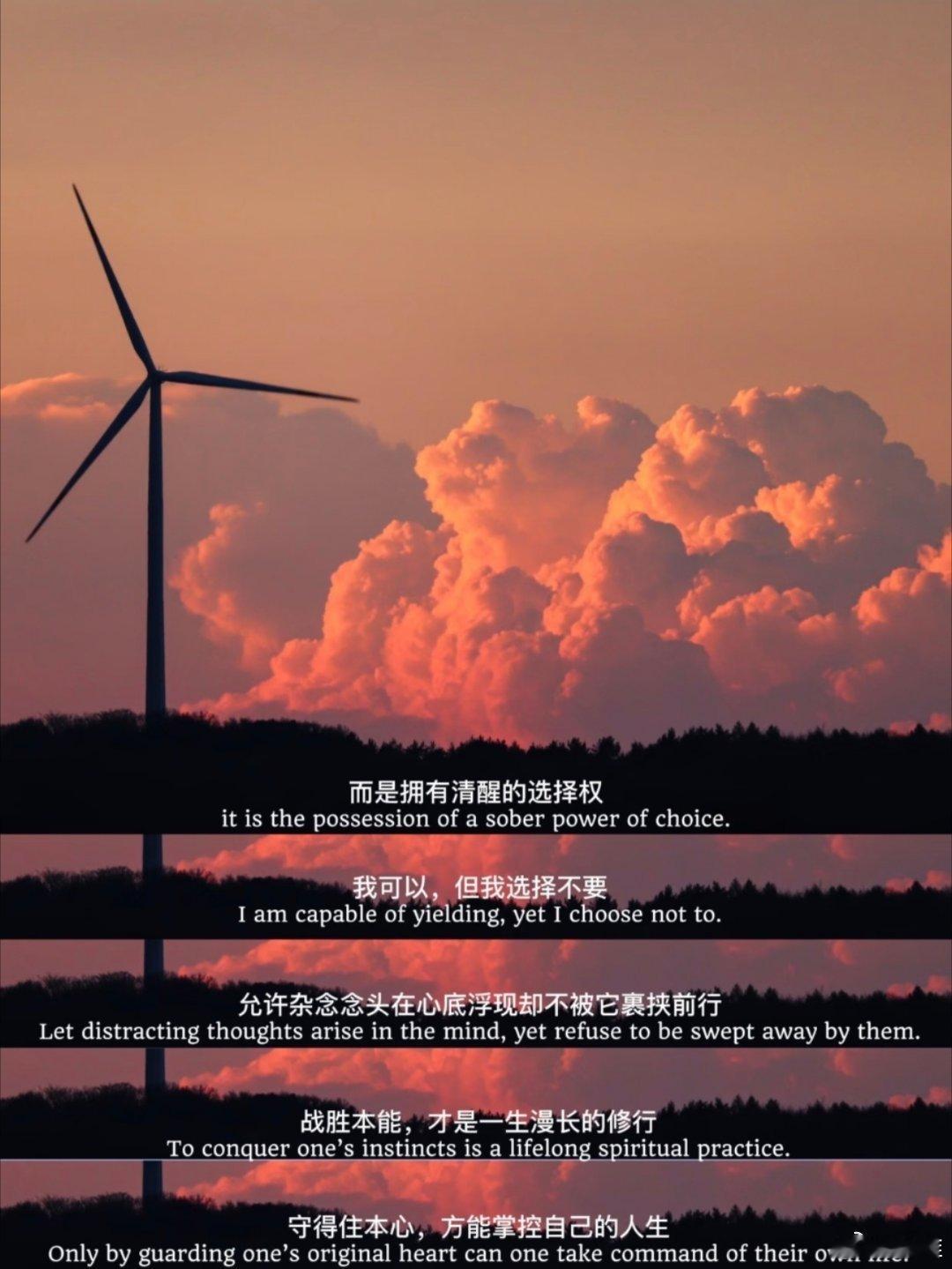 克制是一种更高级的自由！ 