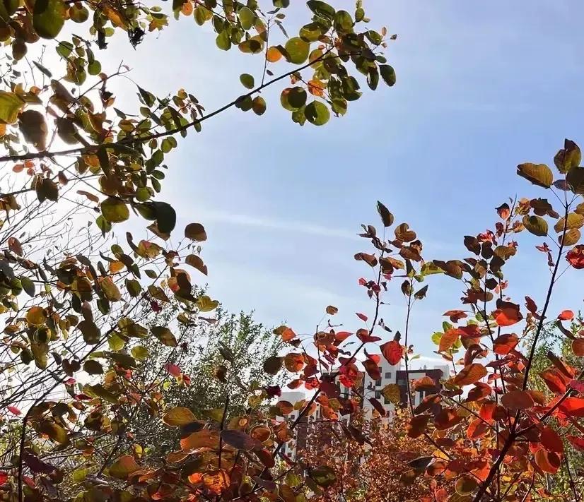 愿你我，轻守岁月之静，
满溢欢喜，温暖如一。