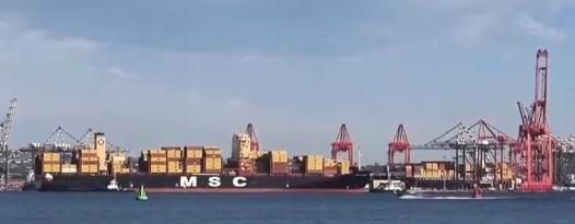 中国对53个非洲建交国全面实施零关税，真正要打开的，不只是原材料通道 
 
中国
