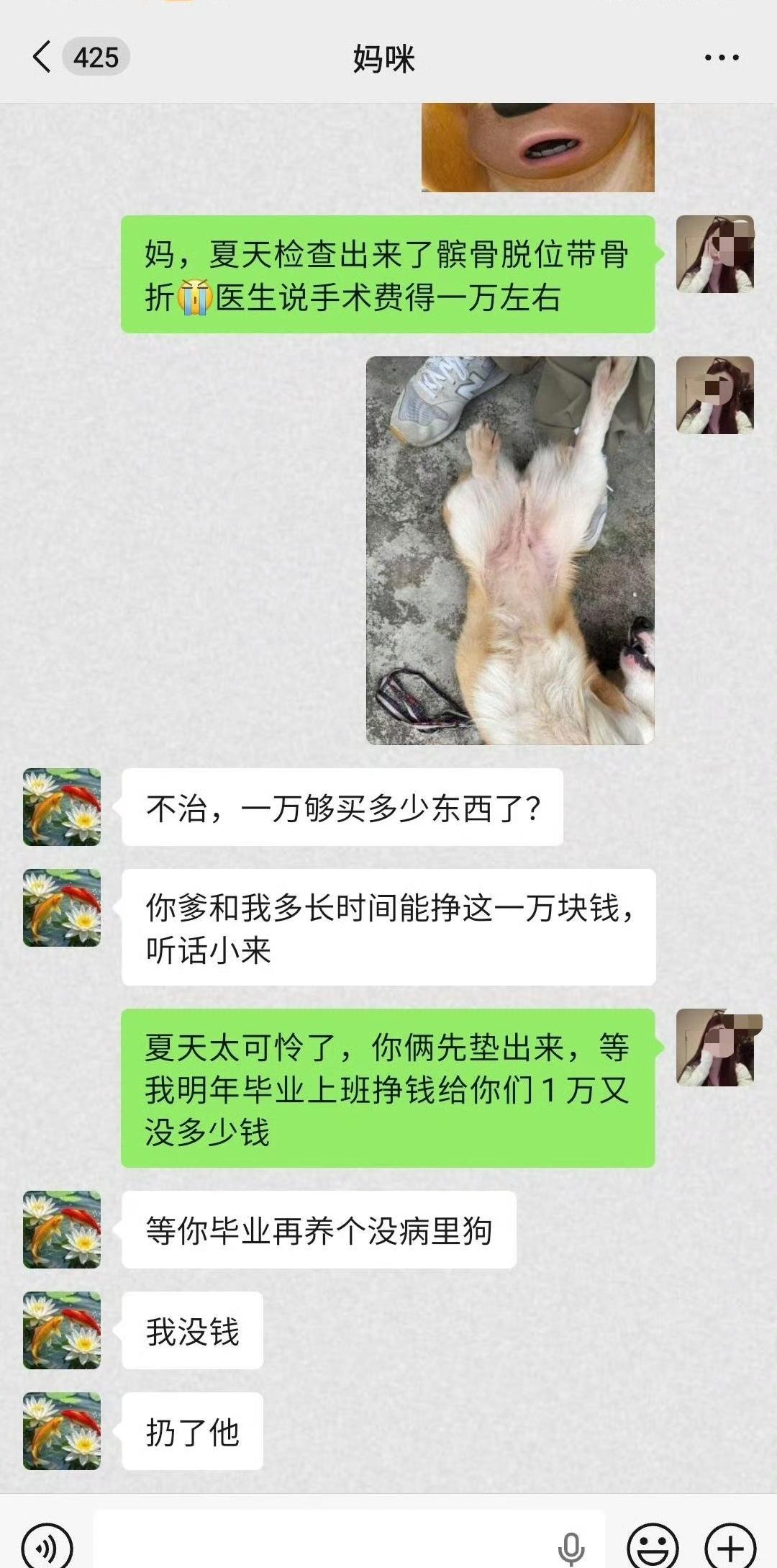 很多人知道流浪狗可怜，但是并不知道父母攒一万块钱有多难！等她毕业工作一年了，信不