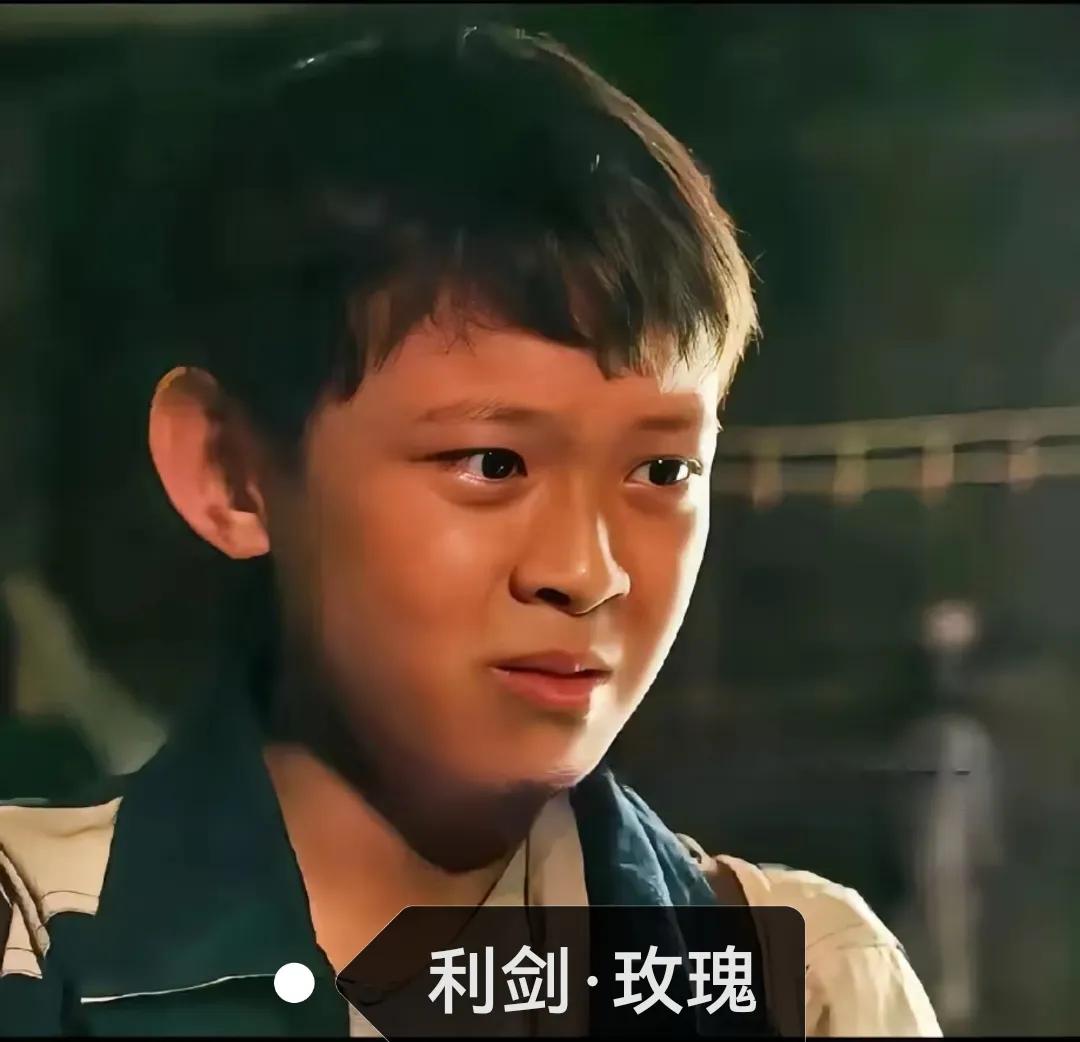 追剧《利剑·玫瑰》   齐德富老人收养了孙律师的儿子小光11年，现在小光回到亲生