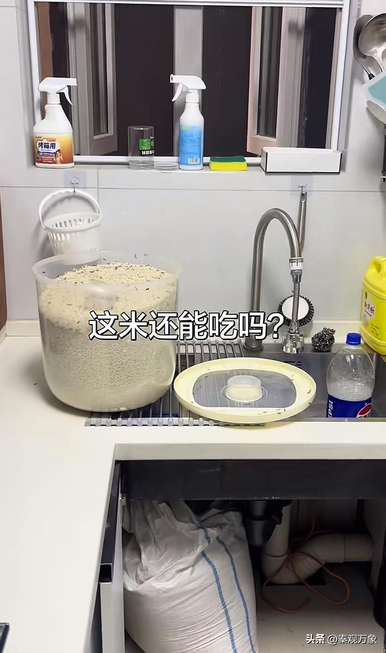 开始是爬虫，过了俩月过来就成蛾了，还能吃吗？好可怕，扔了又可惜，怎么办？