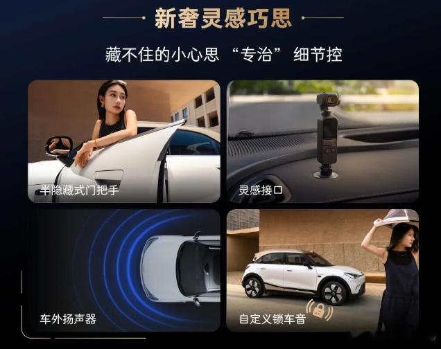 车内接口、车外扬声器及自定义锁车音，我觉得是非常个性化但有难度不高的配置！可惜理