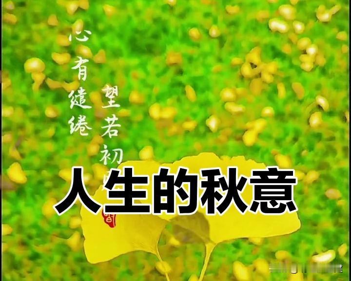 走着走着，秋天就到了。

时间这东西，真是不经用。一眨眼就是一天，一回头就是一年
