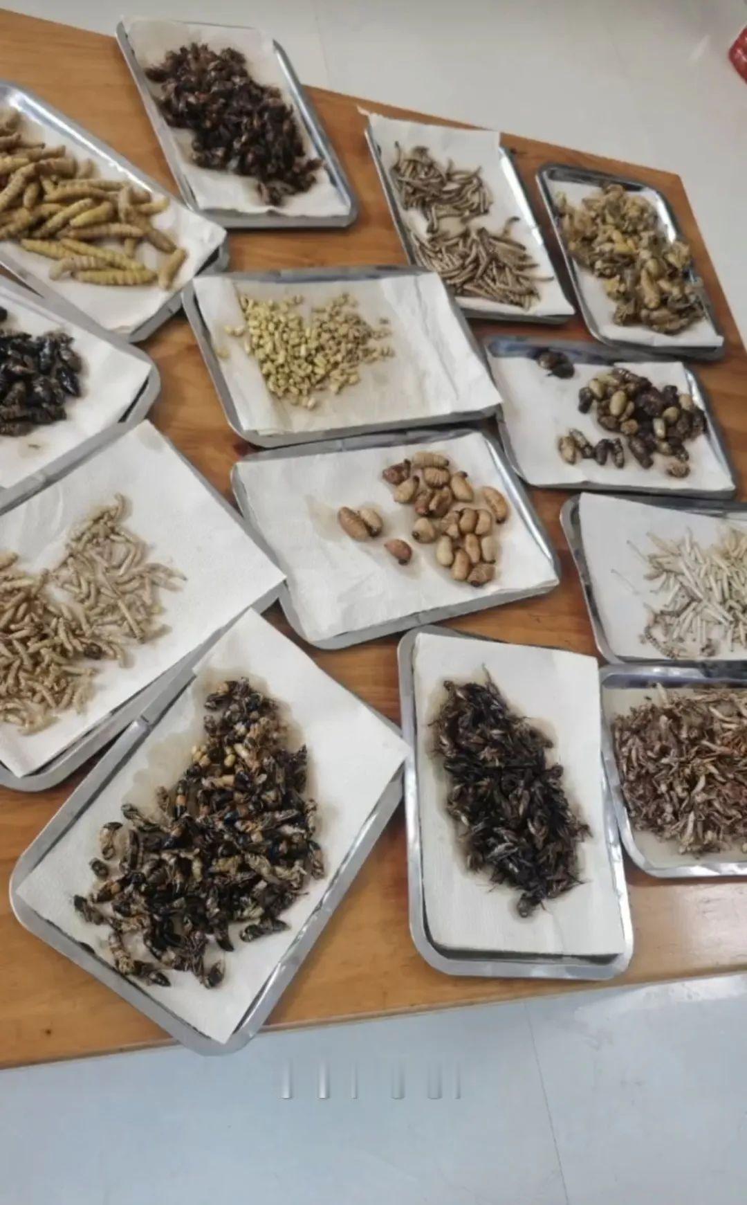 【牛蛙被误认禁食蟾蜍，餐馆遭天价处罚！执法程序存多处违法】

#饭馆发布蛤蟆汤视