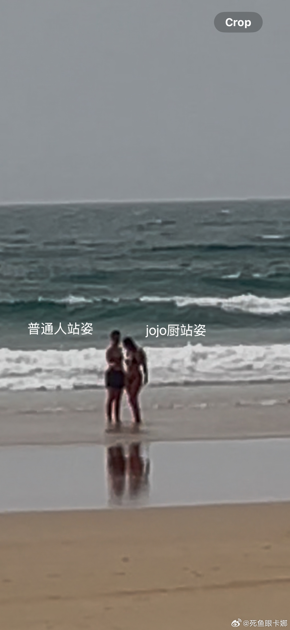 翻相册又看见一个好笑的就是我选照片也要摆姿势[二哈] ​​​