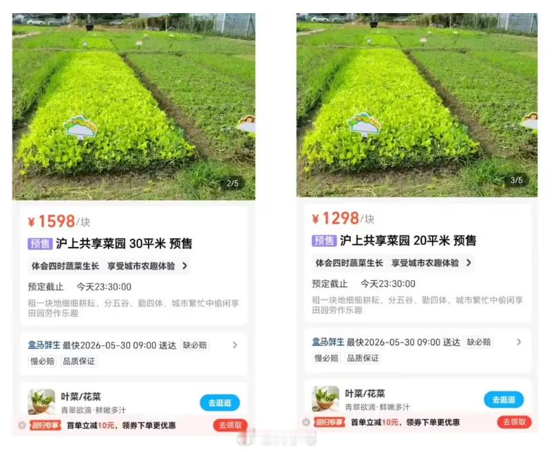 现实版 QQ 农场？盒马 App 可下单租地种菜，客服称正在小范围试点 