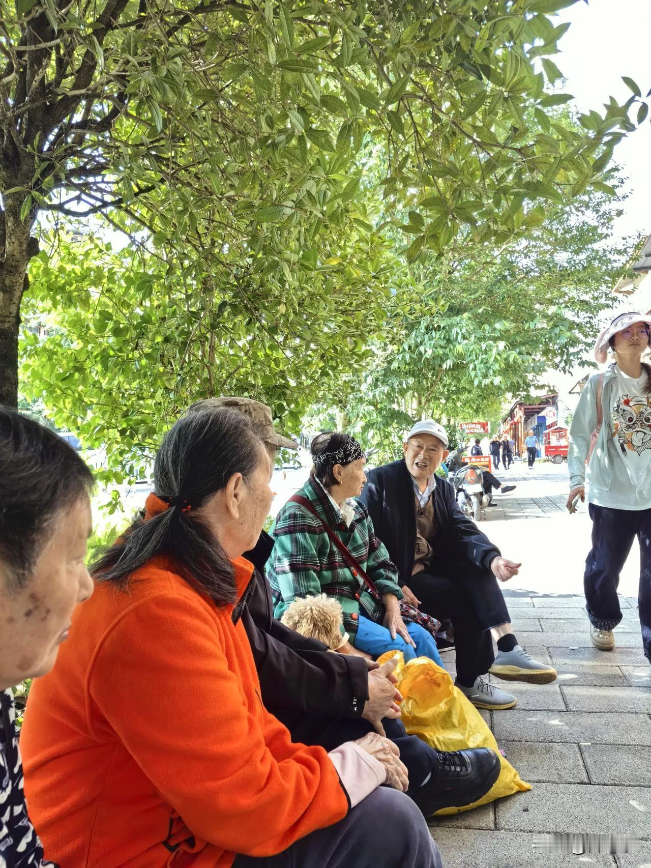 坐在树荫下听老人聊天，听到的都是日子最真实的回音

我特意找了一处老人扎堆的阴凉