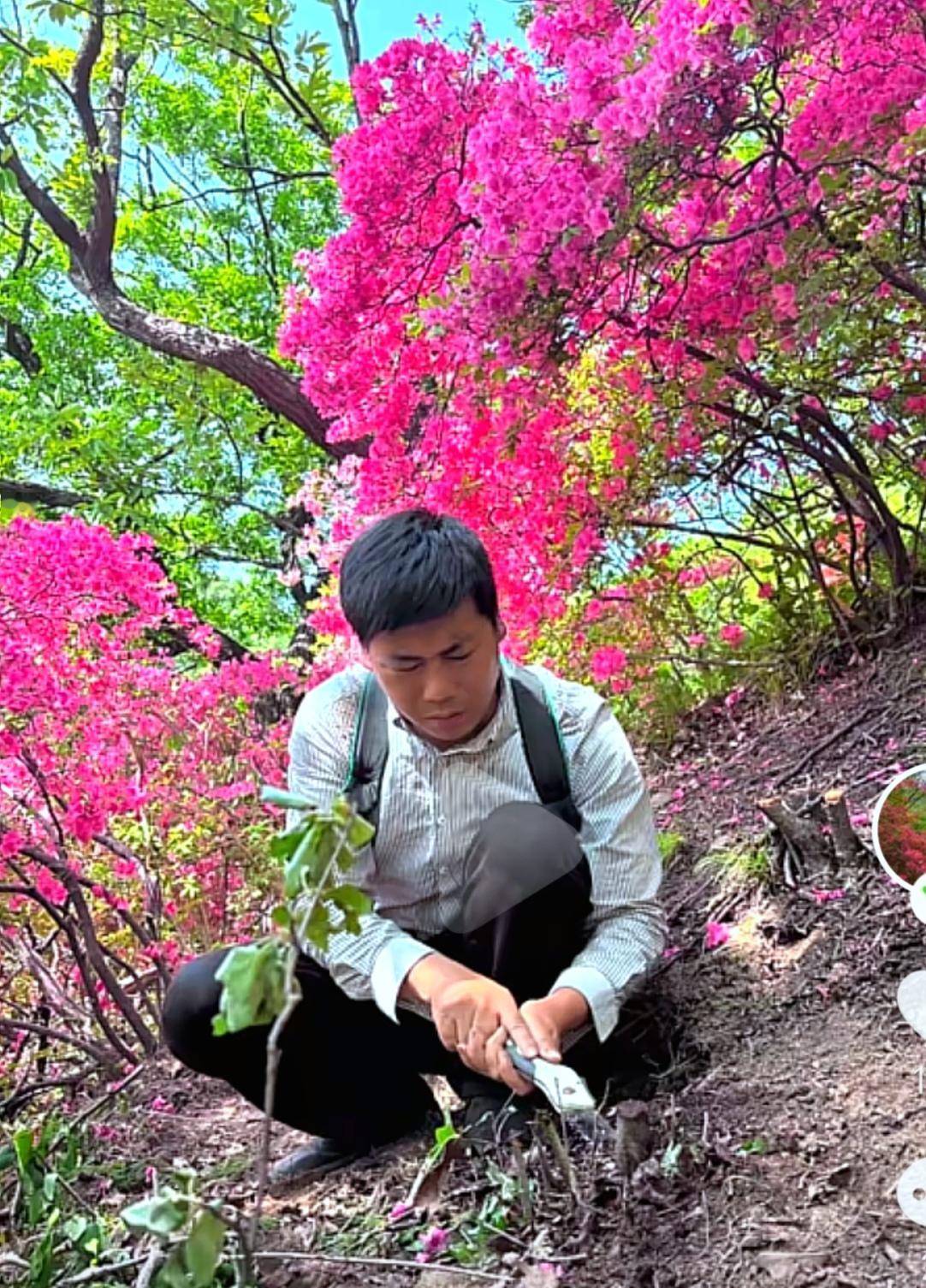‌汝阳县鸡冠山‌是位于河南省洛阳市汝阳县王坪乡的一处自然生态景区，主峰海拔‌16