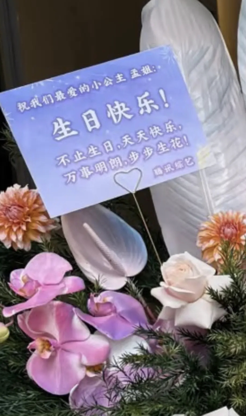 孟子义鹅小公主石锤