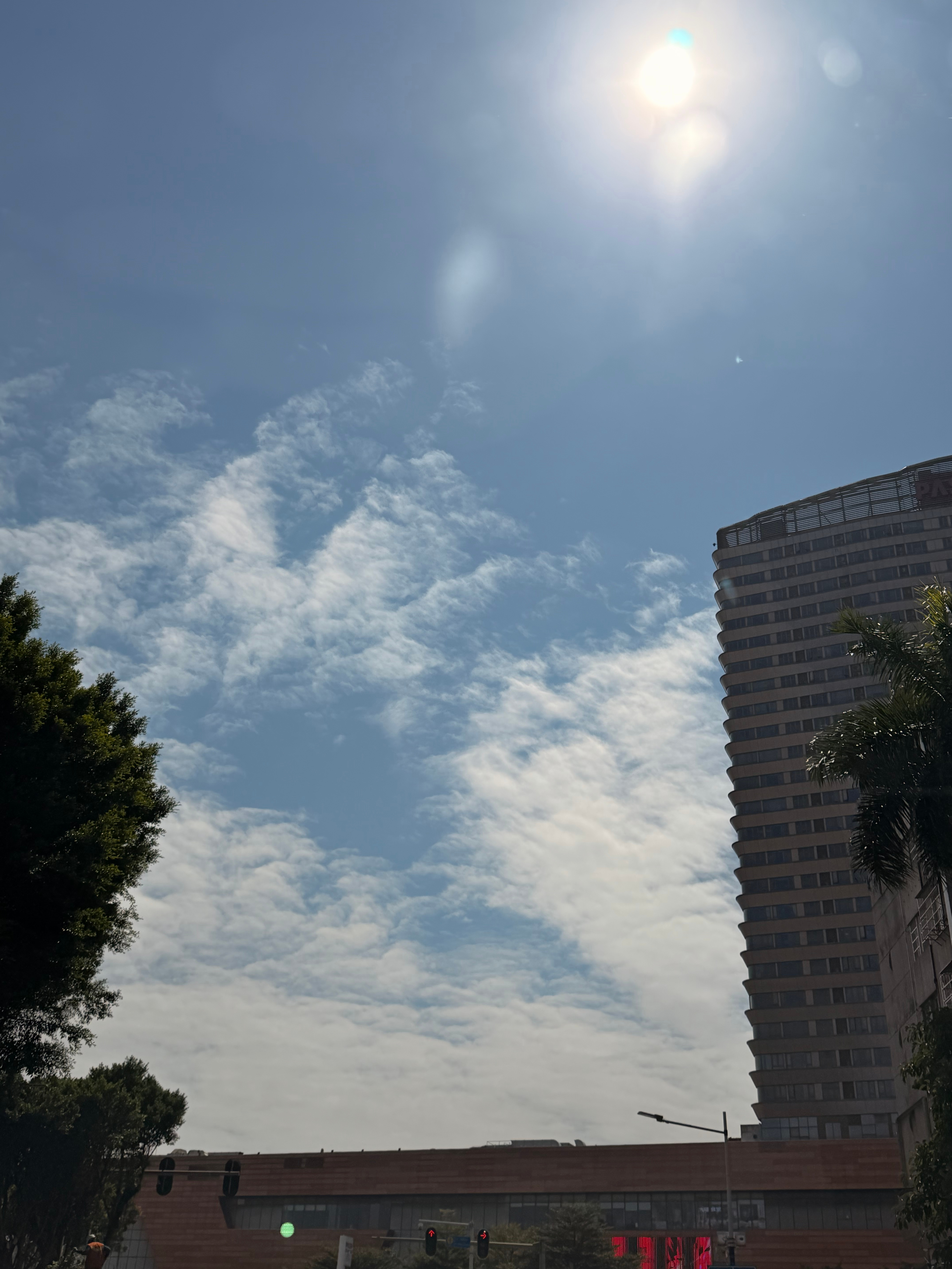🌞天晴了！温度又升起来了～  ​​​