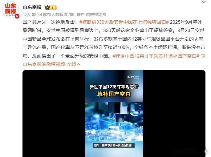 外部限制反倒倒逼产业进阶，安世这330天的转型很有参考意义。它没有止步于勉强恢复