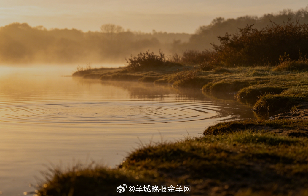 #早安# 晨光轻轻覆在湖面，涟漪慢悠悠晃开，沿着湖岸缓步慢行。清风携着水汽拂过肩