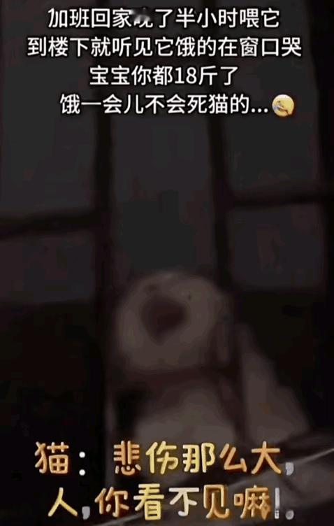 18斤大猫饿到大哭这事儿
简直绝了！江苏一女子
加班稍晚回小区，就听到

自家那