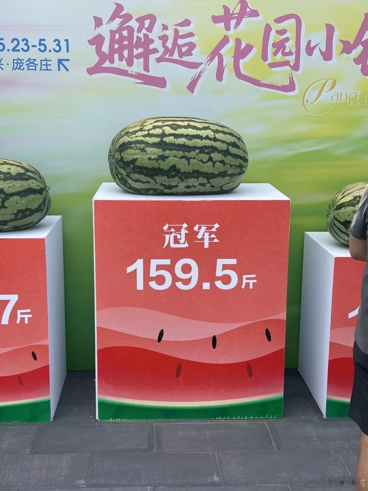 惊天大瓜 