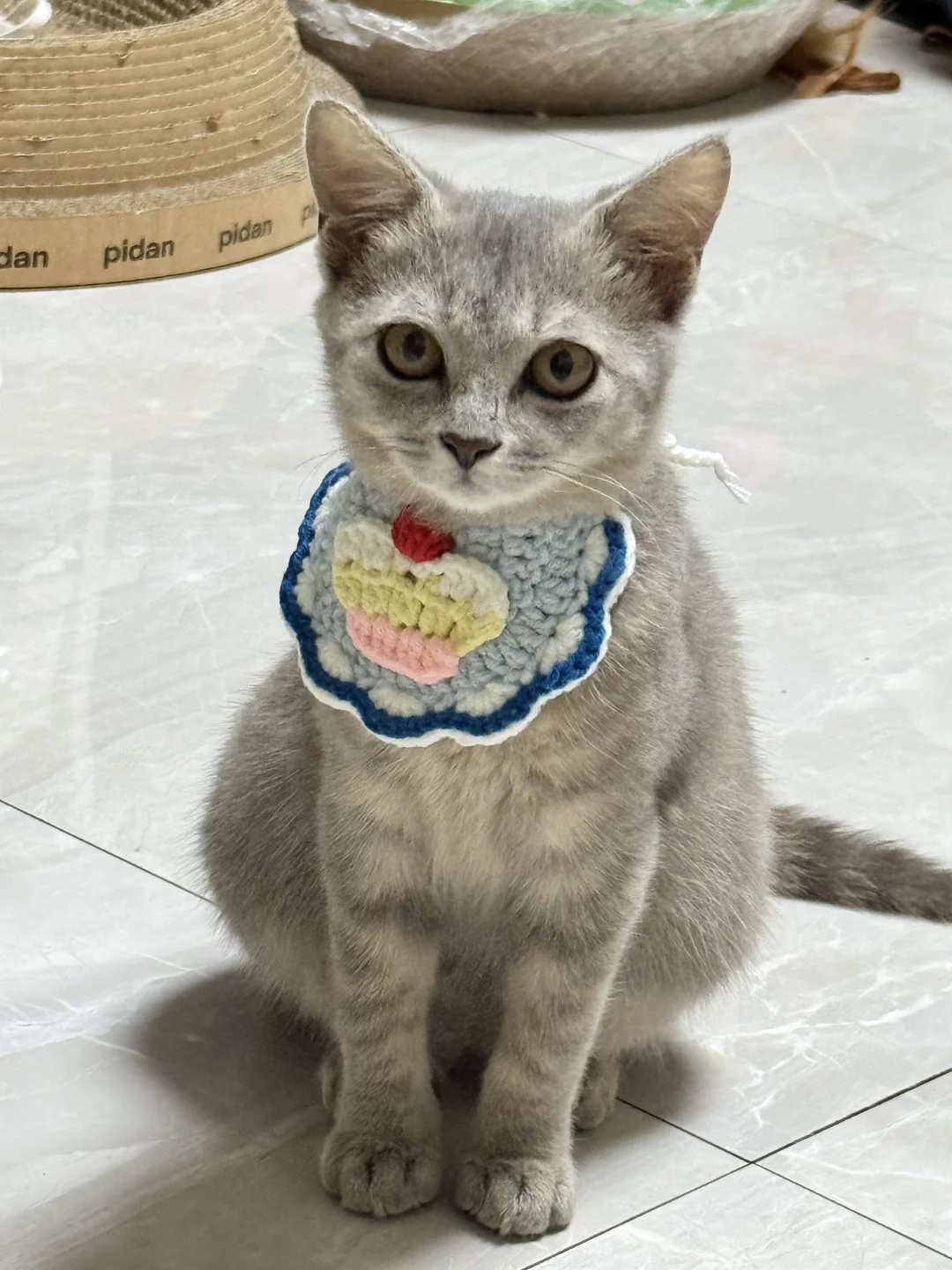 万能网友帮我看看小朋友是什么品格