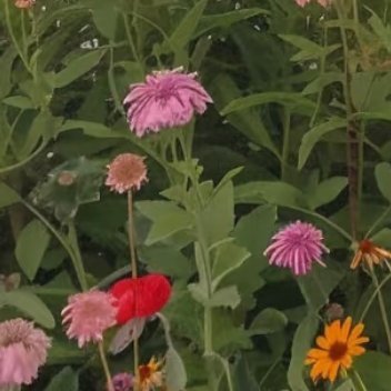 每日一善   每日一善   阳光信用 格局大了，生活就顺了，  要学会做一个做事