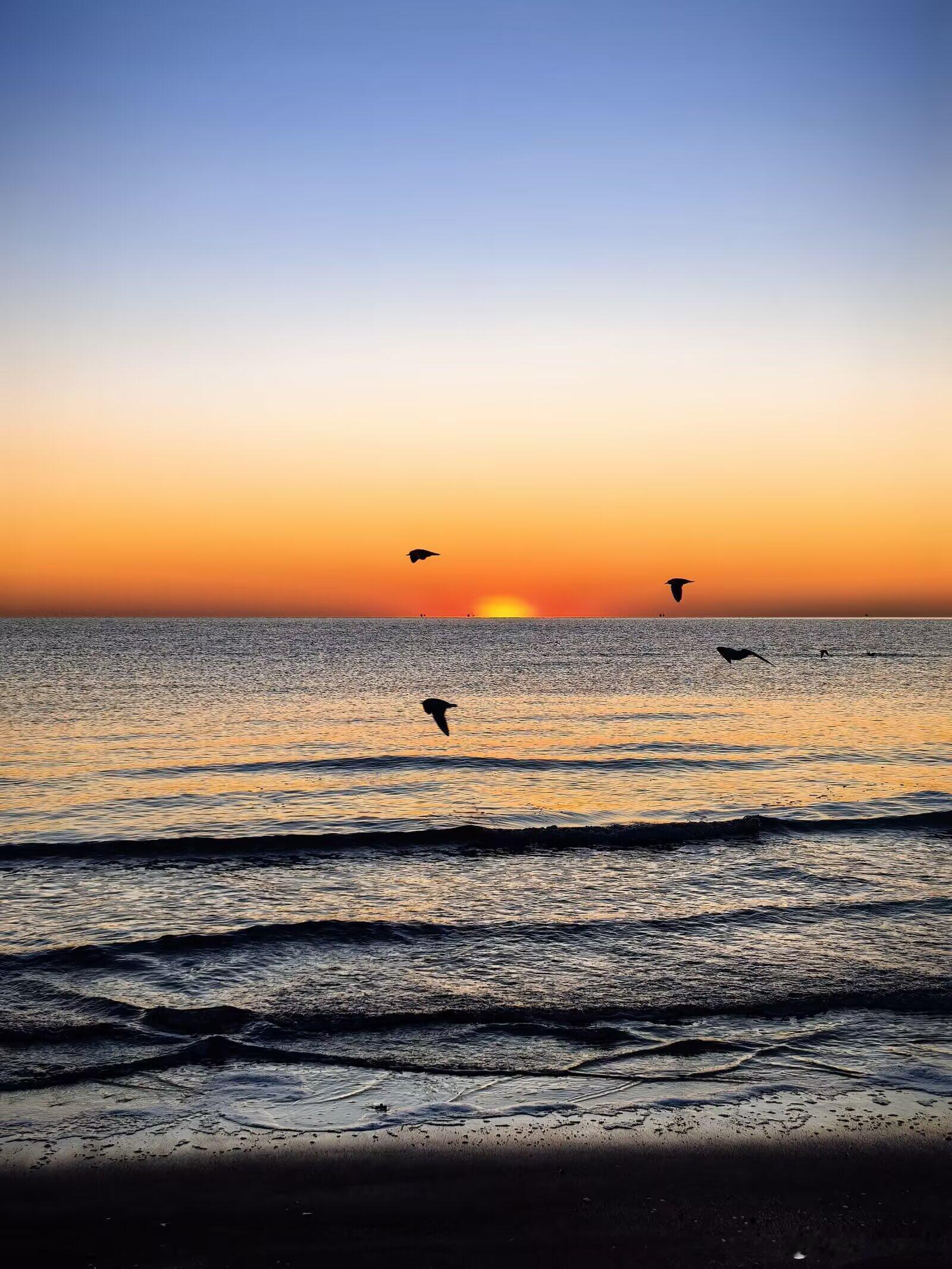 华为pura90 华为最近渲发图上大分，浪漫且有格调~ 