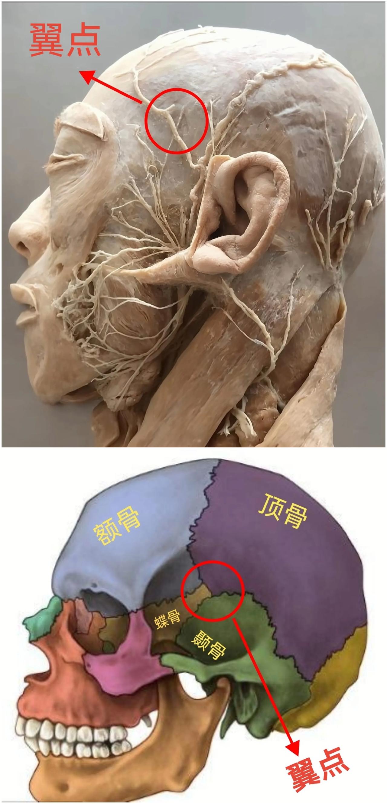 太阳穴！[发怒]
记住了，这地不能打！

武术中，有一招叫“双风贯耳”，意思就是