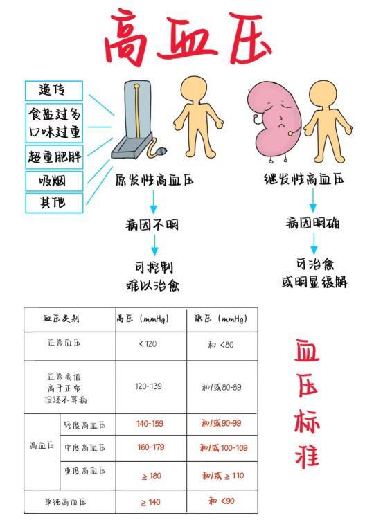 医学生笔记——高血压