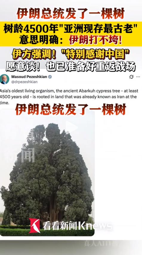 特朗普预警风暴来临，伊朗强势回怼：早已做好重返战场准备。你可能猜不到，这场火药味