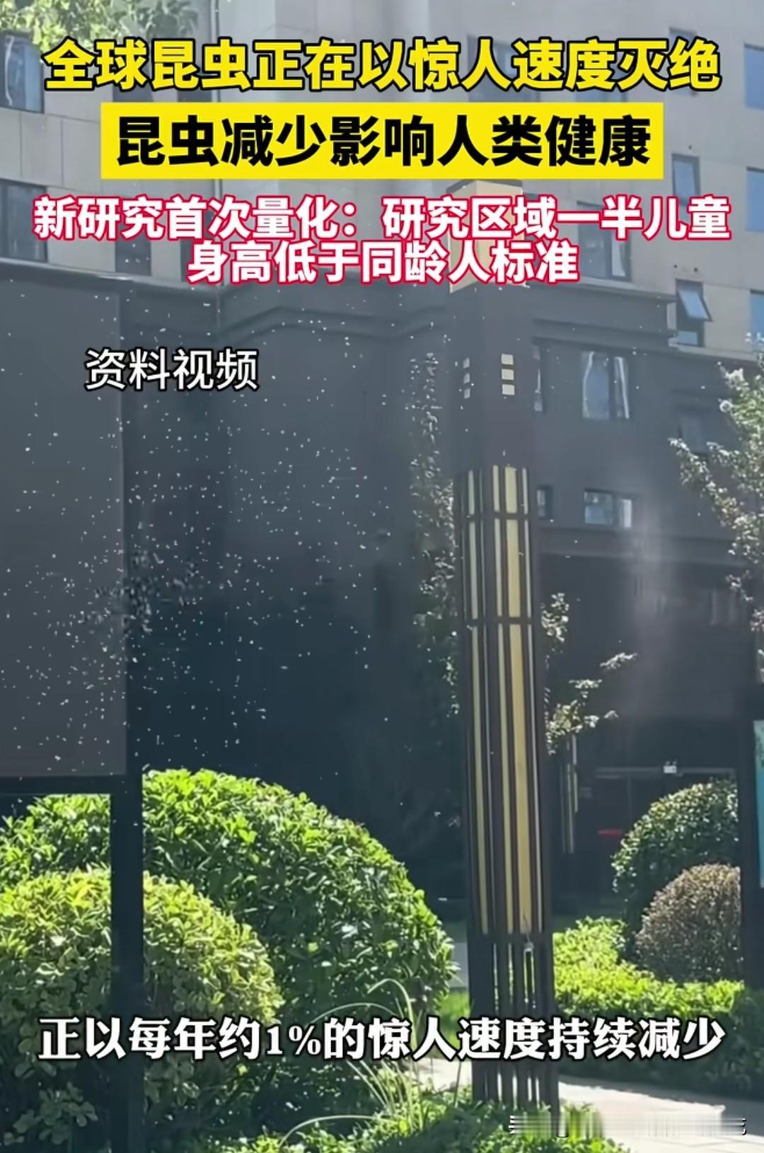 “昆虫大灭绝”？害虫杀不完，益虫就快灭绝完了？曾经在夏夜稻田里盘旋的蜻蜓，如今连