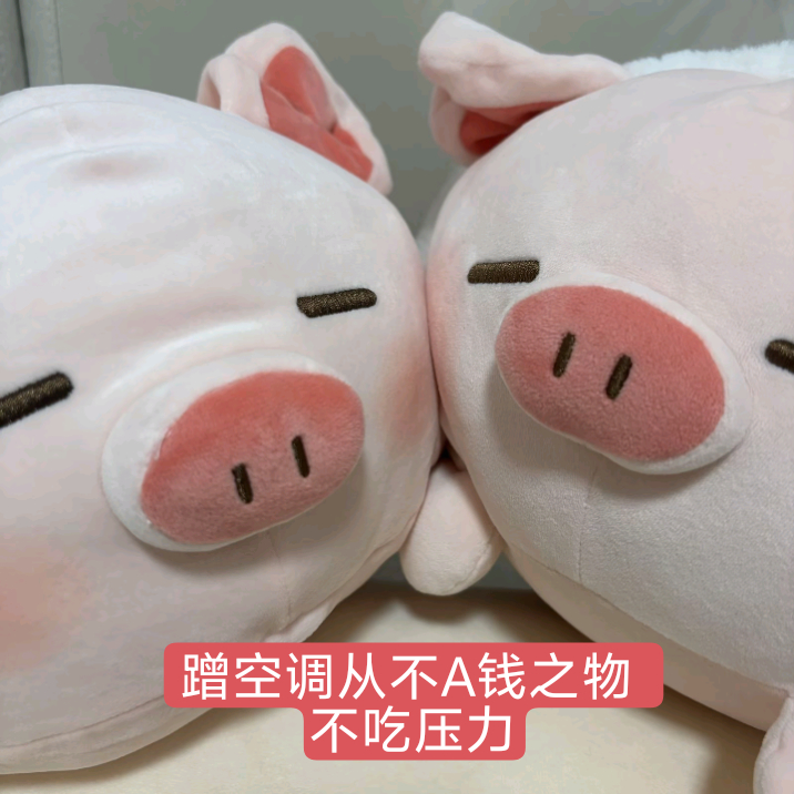 为什么不A我空调钱 坏猪