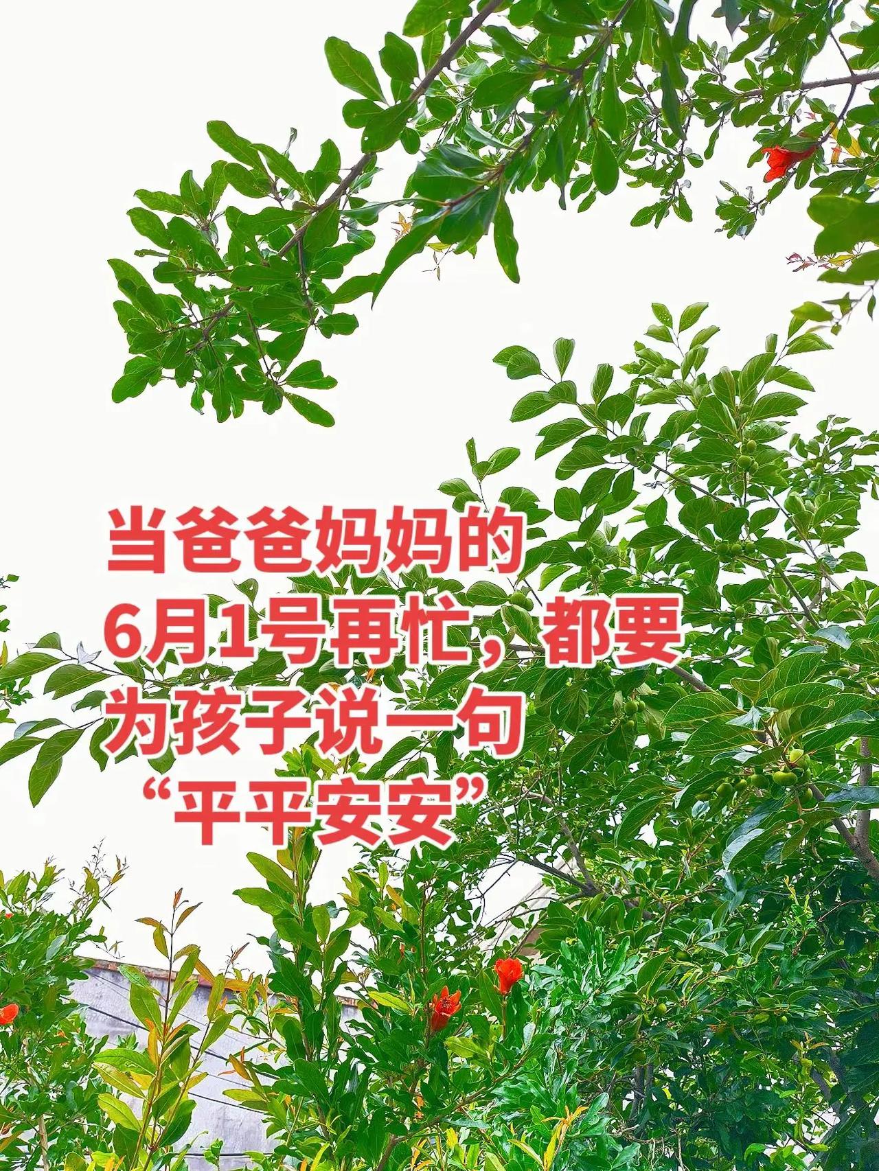 宝贝，六一到啦，送给你三份小期许，伴你一路前行。

愿你身体康健，平安喜乐每一天
