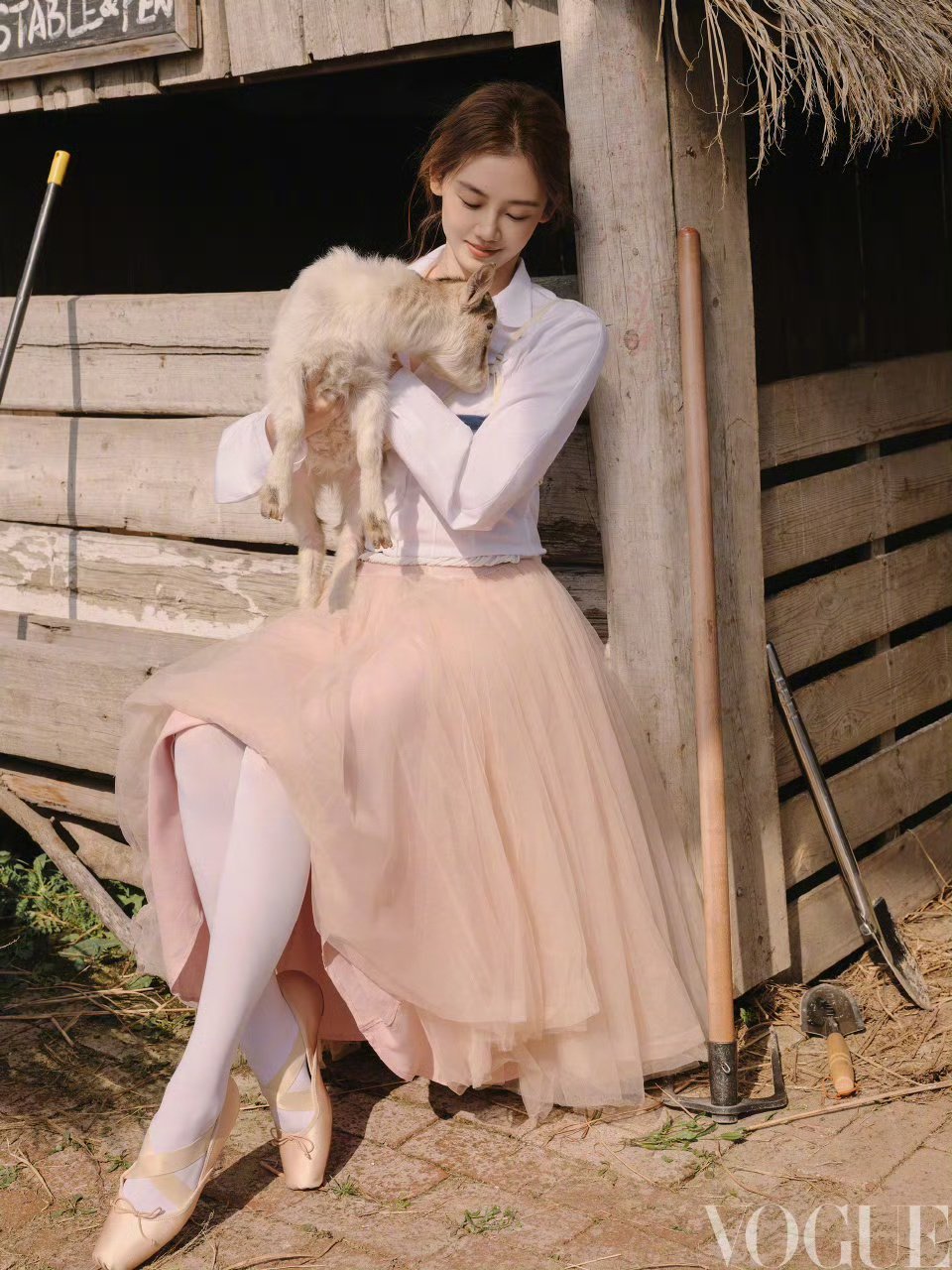 苗苗回应种菜获得大家喜爱苗苗带着羊兔鸡出了一次通告苗苗因种菜的生活感备受喜爱，她