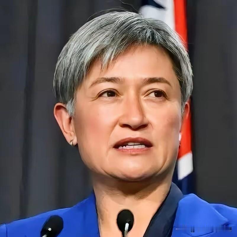 近日，澳大利亚外长黄英贤表示：已就中国新颁布的《民族团结进步促进法》向中方直接表
