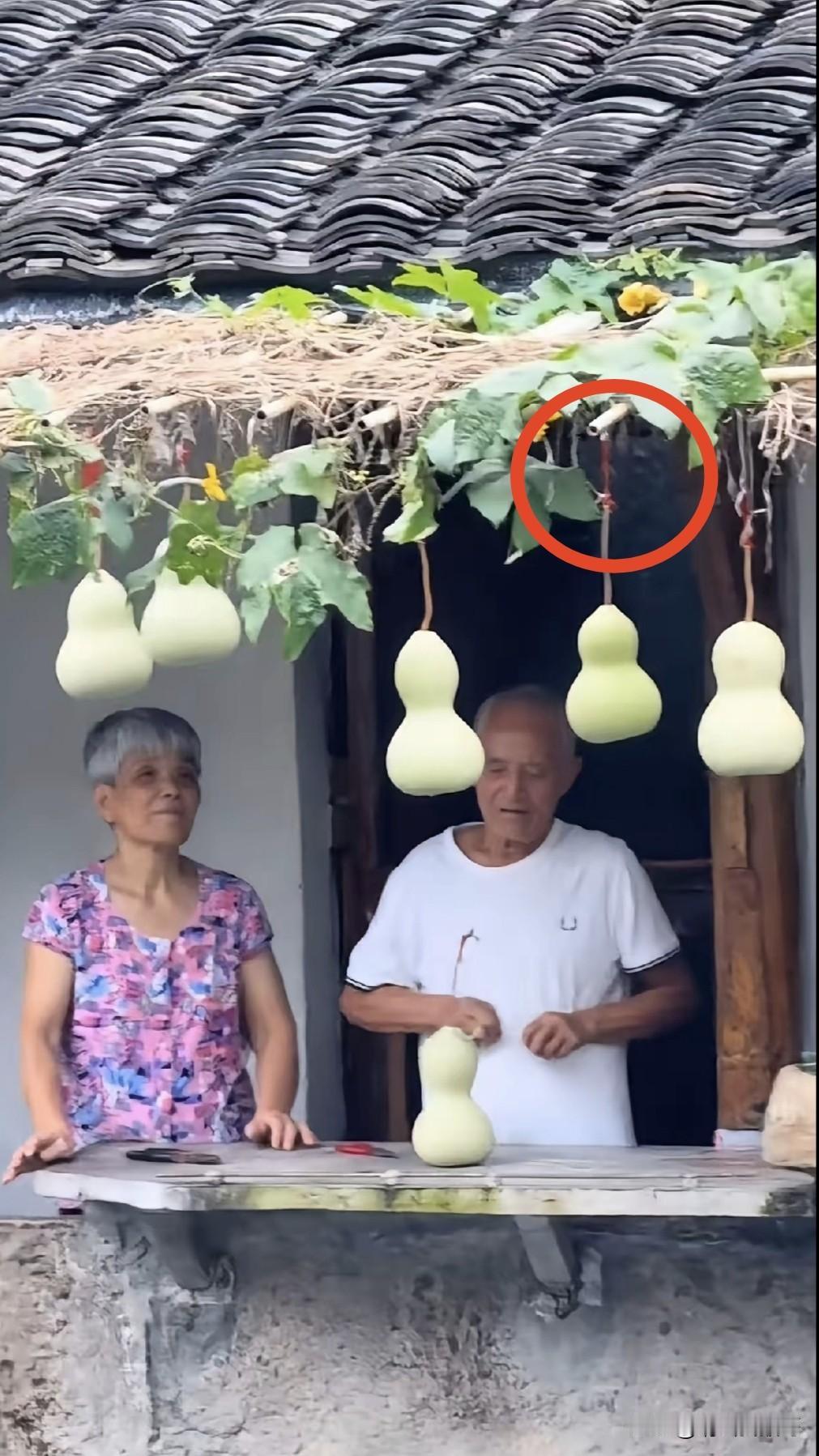看到这一幕，突然想到一个词“被迫营业”。