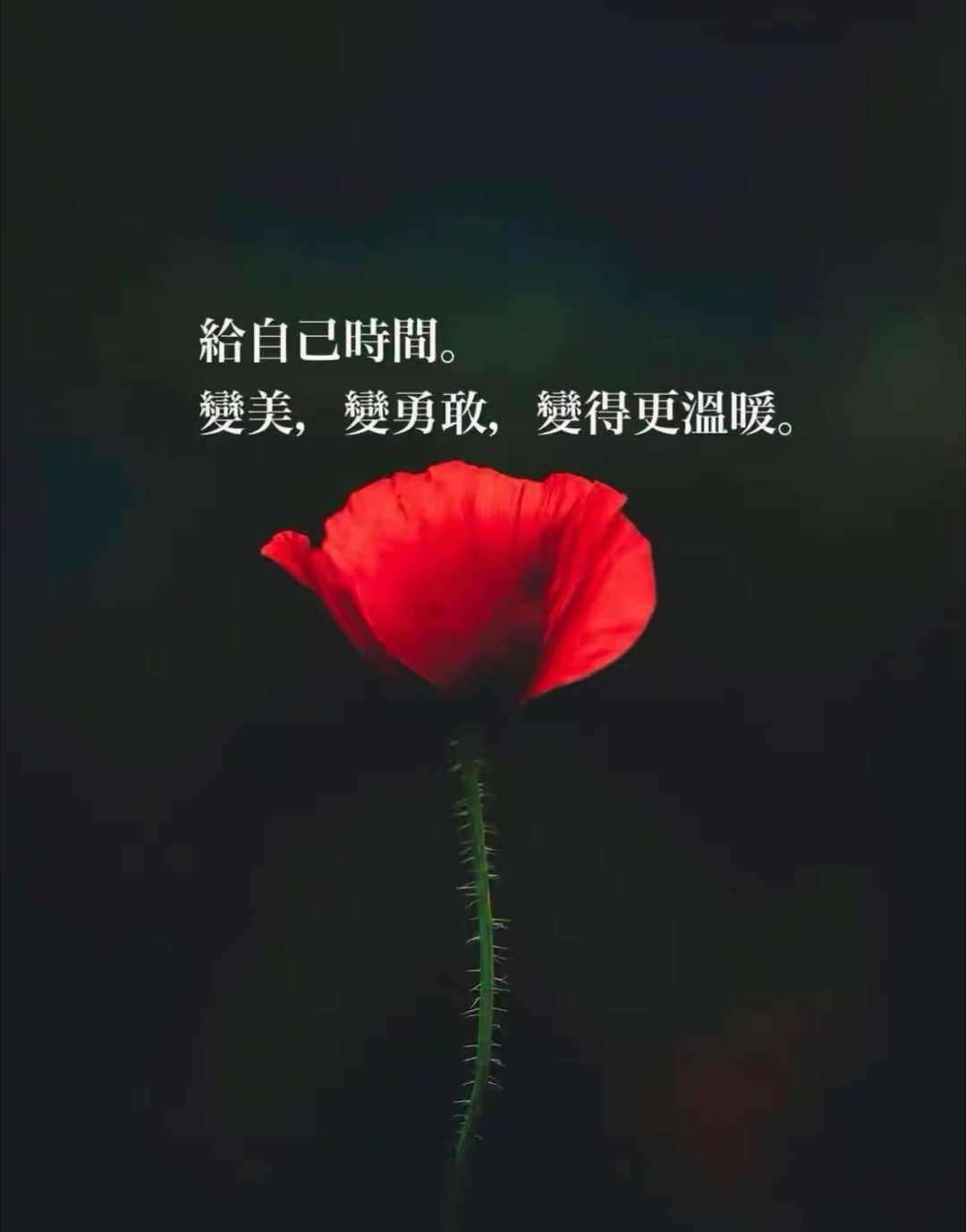 给自己时间 