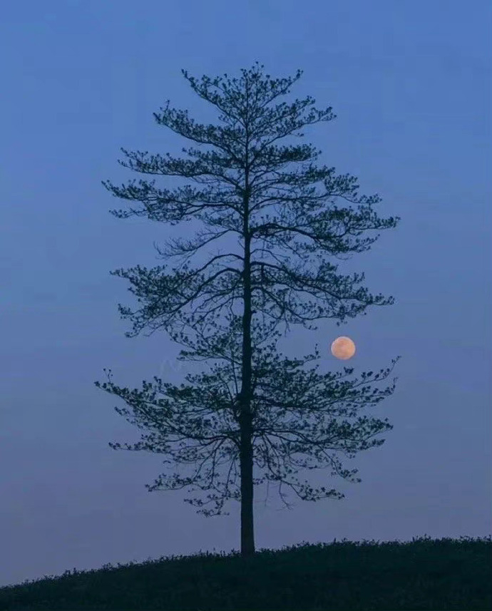 没有脚踏实地的建立起来的东西，就无法形成精神和物质上的支撑。 