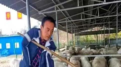 2003年，上门女婿刘斌意外失去双臂，丢掉工作的他被妻子一家扫地出门，带着年幼儿