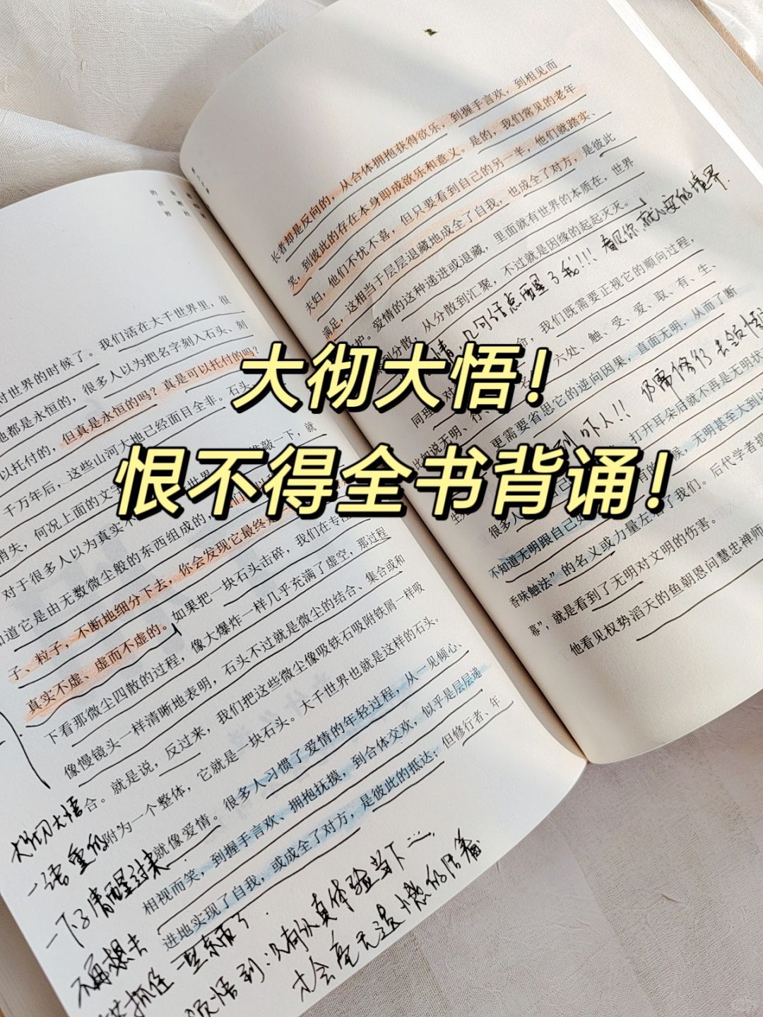 近几年读过的最通透的一本书！