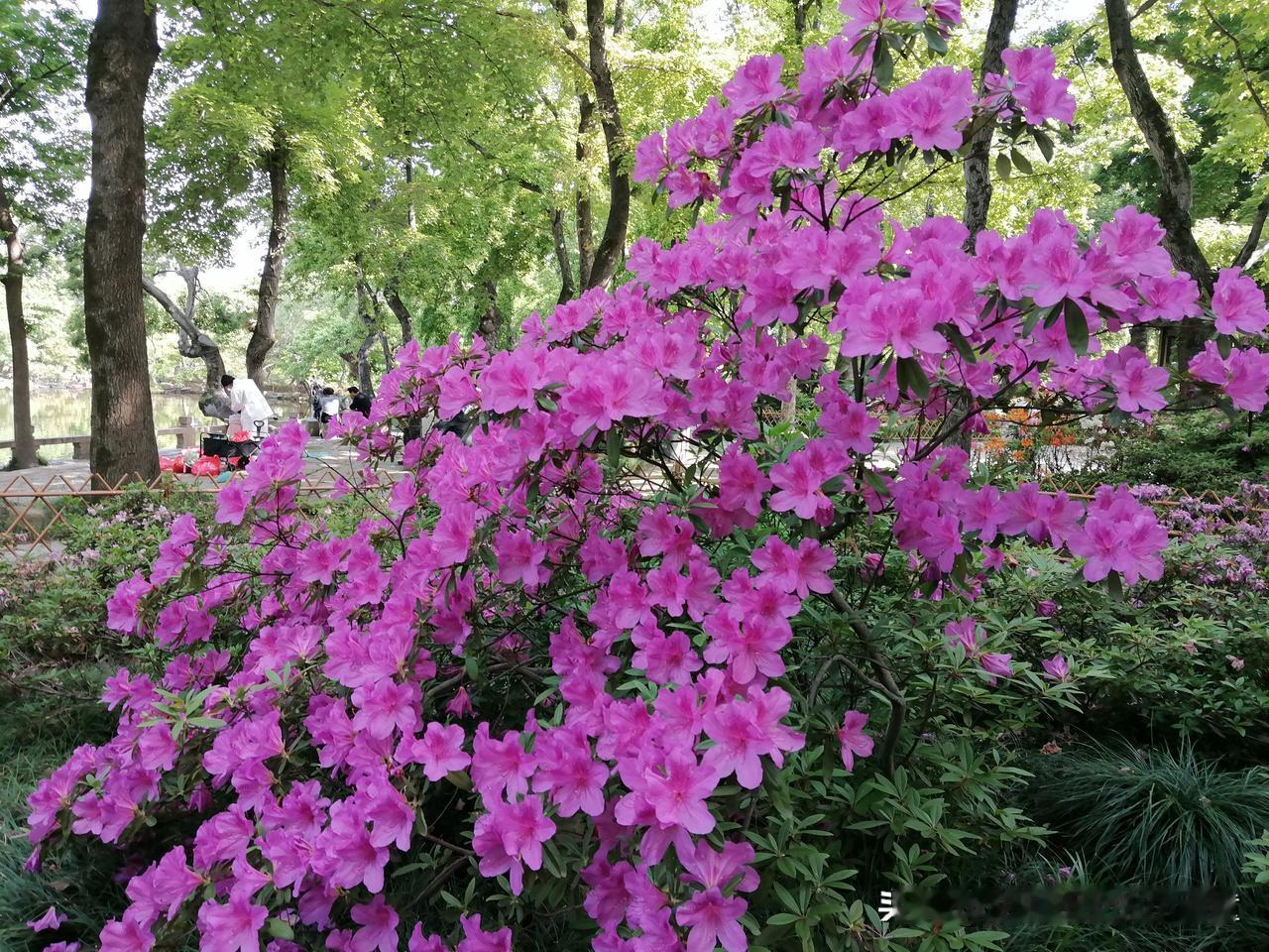 低倍杠杆、长线单边的收益率丝毫不会比日内交易和频繁交易低。波段投资技巧 配资杠杆