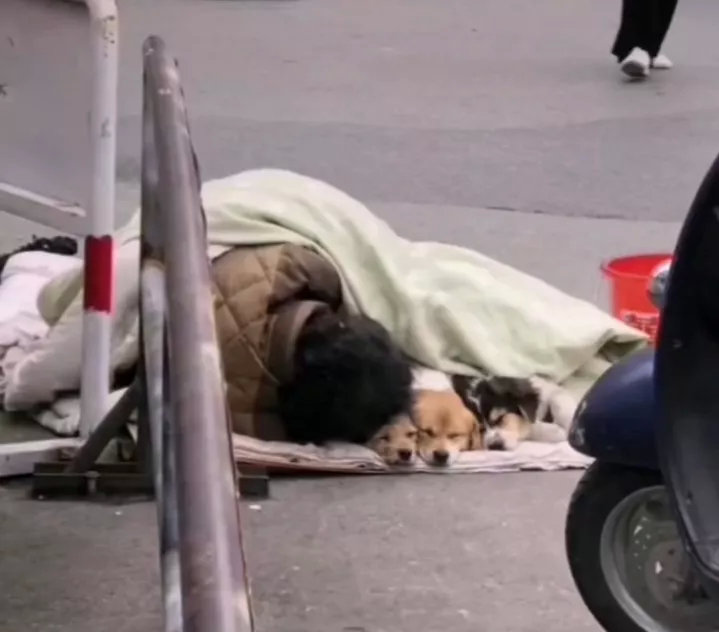 “我是流浪汉，但我的狗不是流浪狗！”虽身在流浪，但心却向菩提。