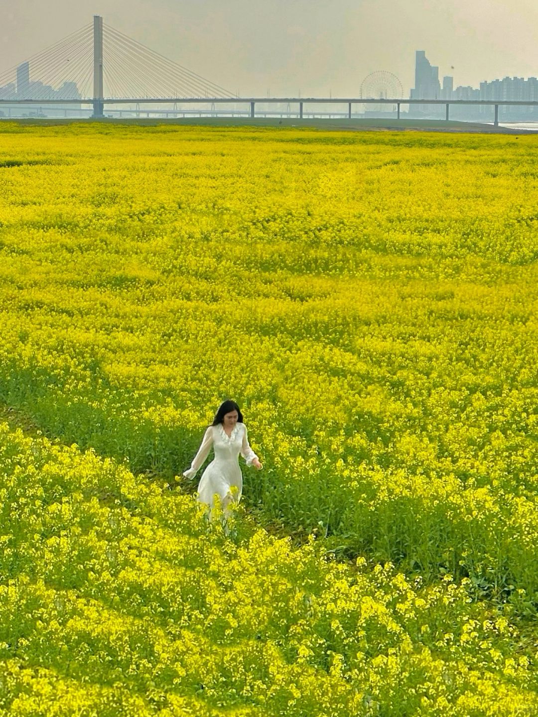 南昌这片油菜花没有人！速来！！！！