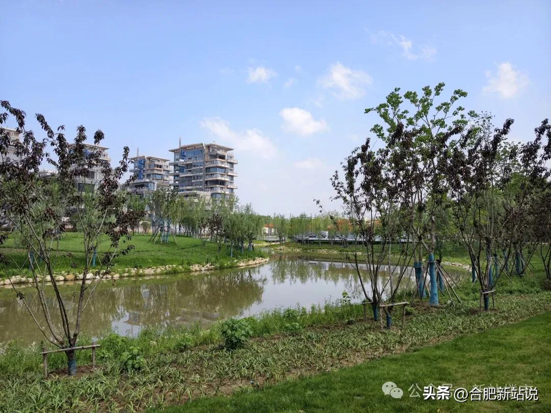 熟悉新站、关注合肥东北部发展的人都清楚，少荃湖片区，从来不是只停留在规划图纸上的