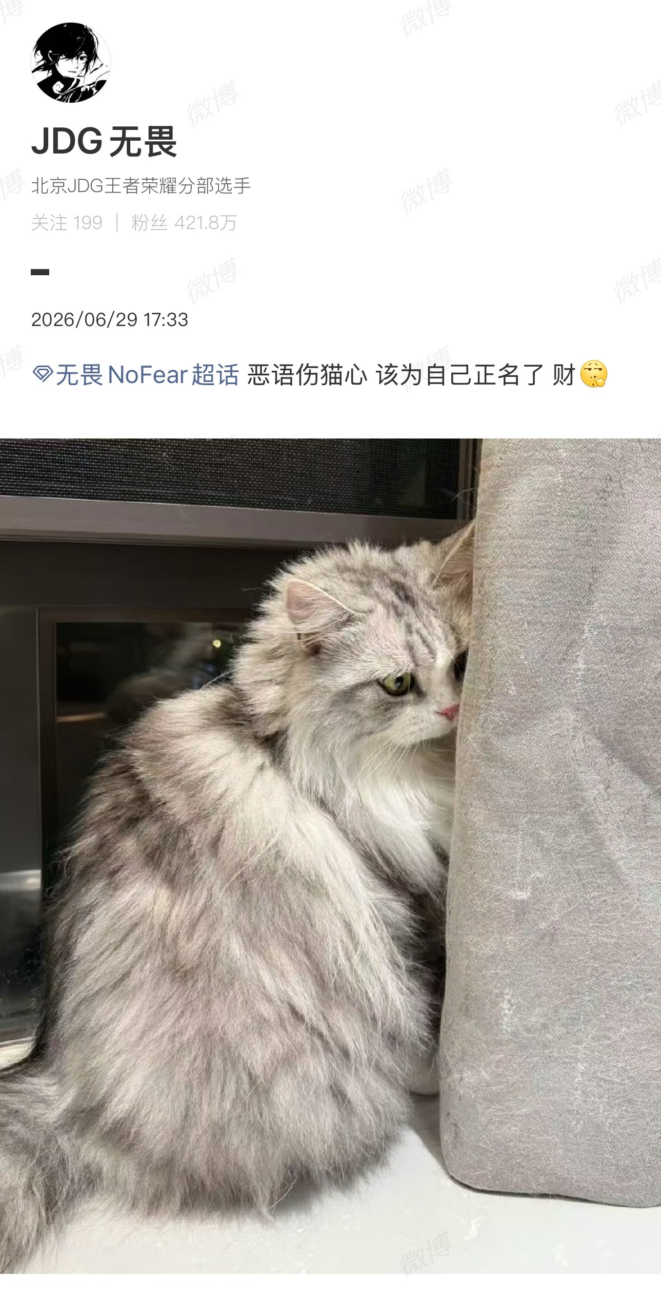 怎么能说彩彩女明星胖呢，彩彩只是毛茸茸无畏为自己的猫正名了