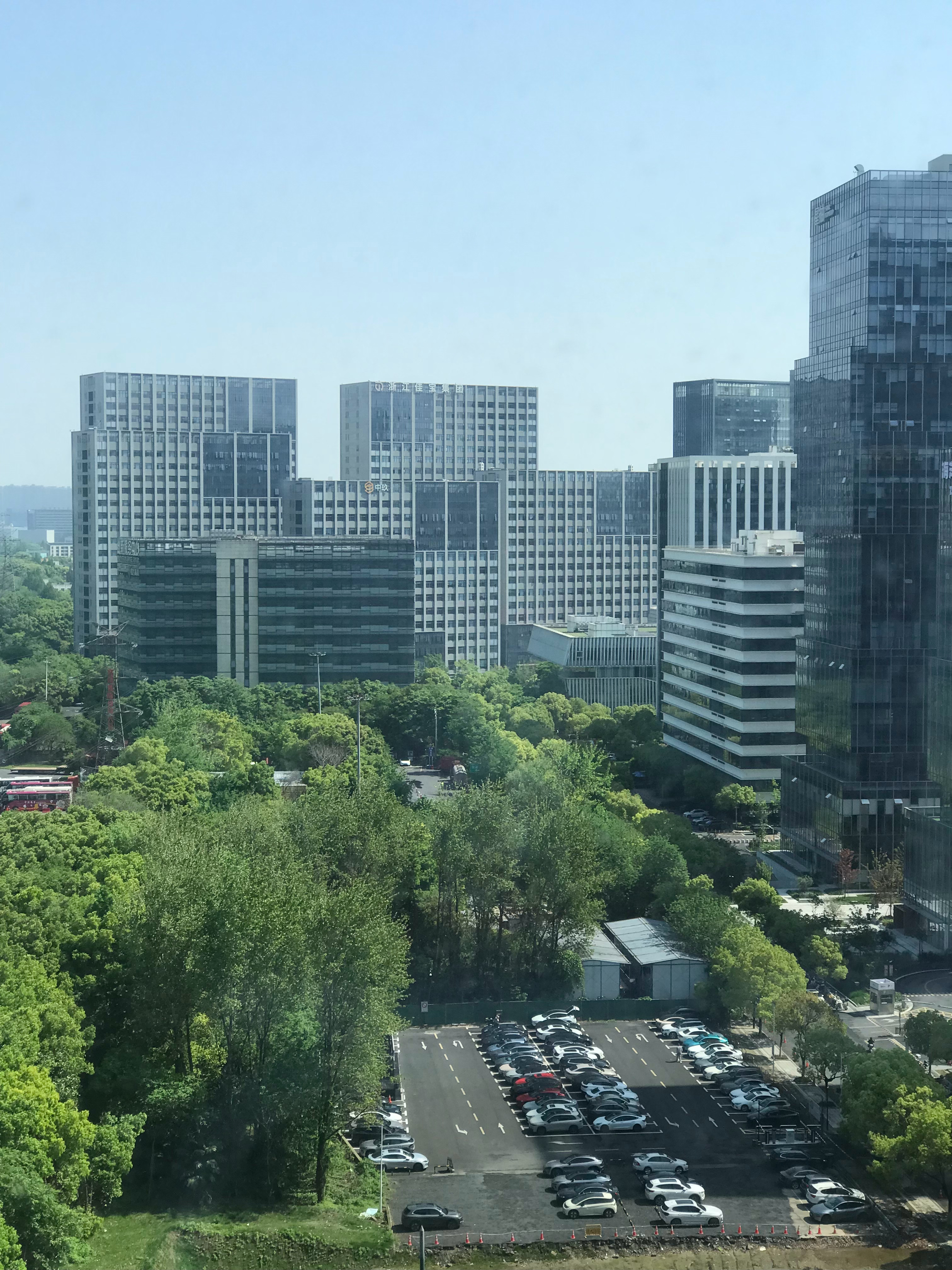 有人懂在杭州遇见晴天是什么心情吗连续不知多久的阴雨天，整个人被天气压得喘不过气的