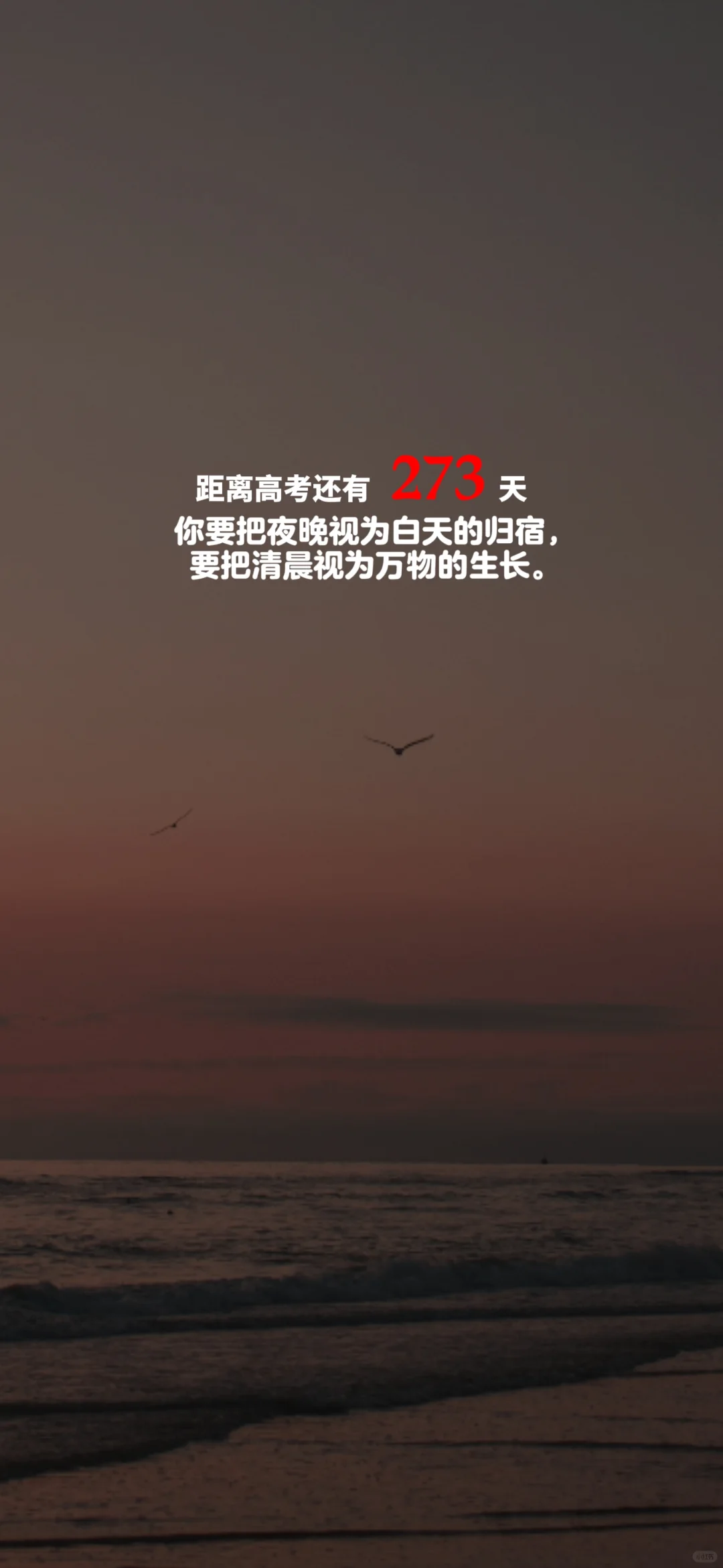2025高考倒计时，每日更新。