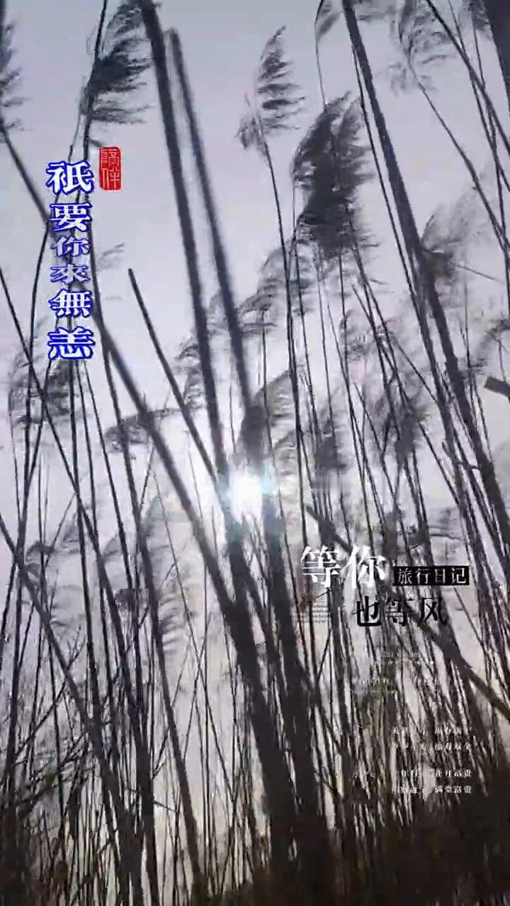 等你。
言也等风，多少理想求灵往。也等风，多少理想家又佳。也等风，眼里还有万丈光